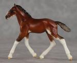 Chips Draft Foal - Violet