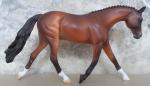 Pebbles - Warmblood